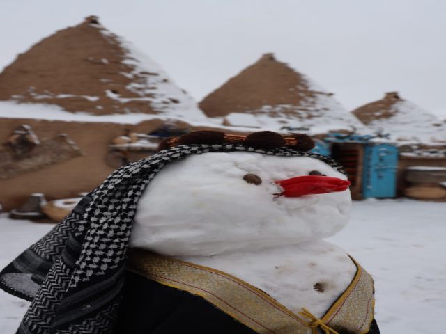 Urfa'da Kar Manzaraları