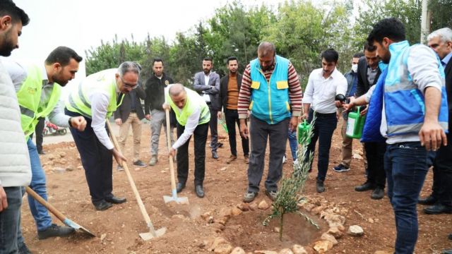 Eyyübiye’deki Okullarda Ağaçlandırma Seferberliği Başladı