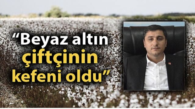 CHP İl Başkanı Karadağ'dan pamuk fiyatlarıyla ilgili açıklama