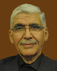 Mehmet Fethi Göktepe